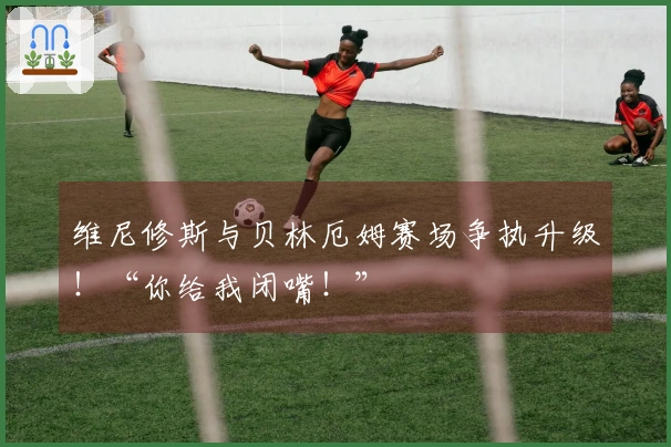 维尼修斯与贝林厄姆赛场争执升级！“你给我闭嘴！”