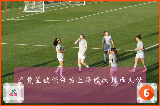 王曼昱被任命为上海修改封面大使
